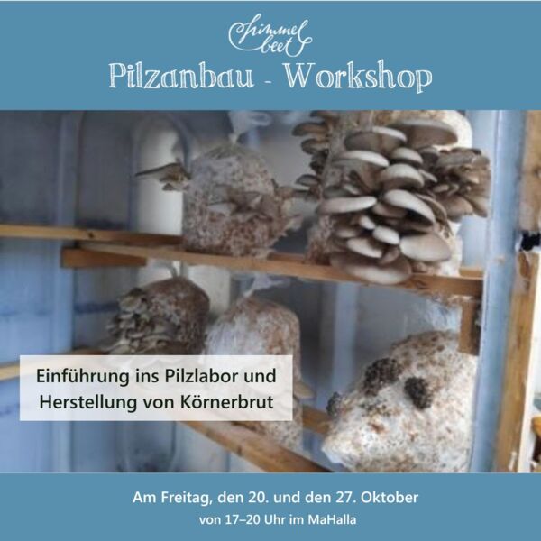 Informationen zu den nächsten zwei Workshops zum Anbau von Speisepilzen