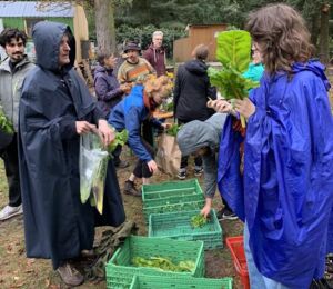 Die Ernte von Acker wir verteilt unter den Mitmachenden