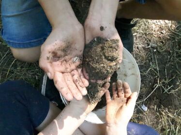 Vier Hände halten über einem Eimer mit Erde, Saatgut und Erde in den Händen. Daraus werden Seedbombs geformt.