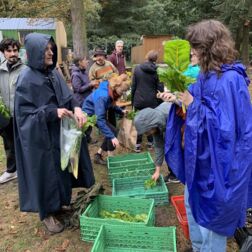 Die Ernte von Acker wir verteilt unter den Mitmachenden