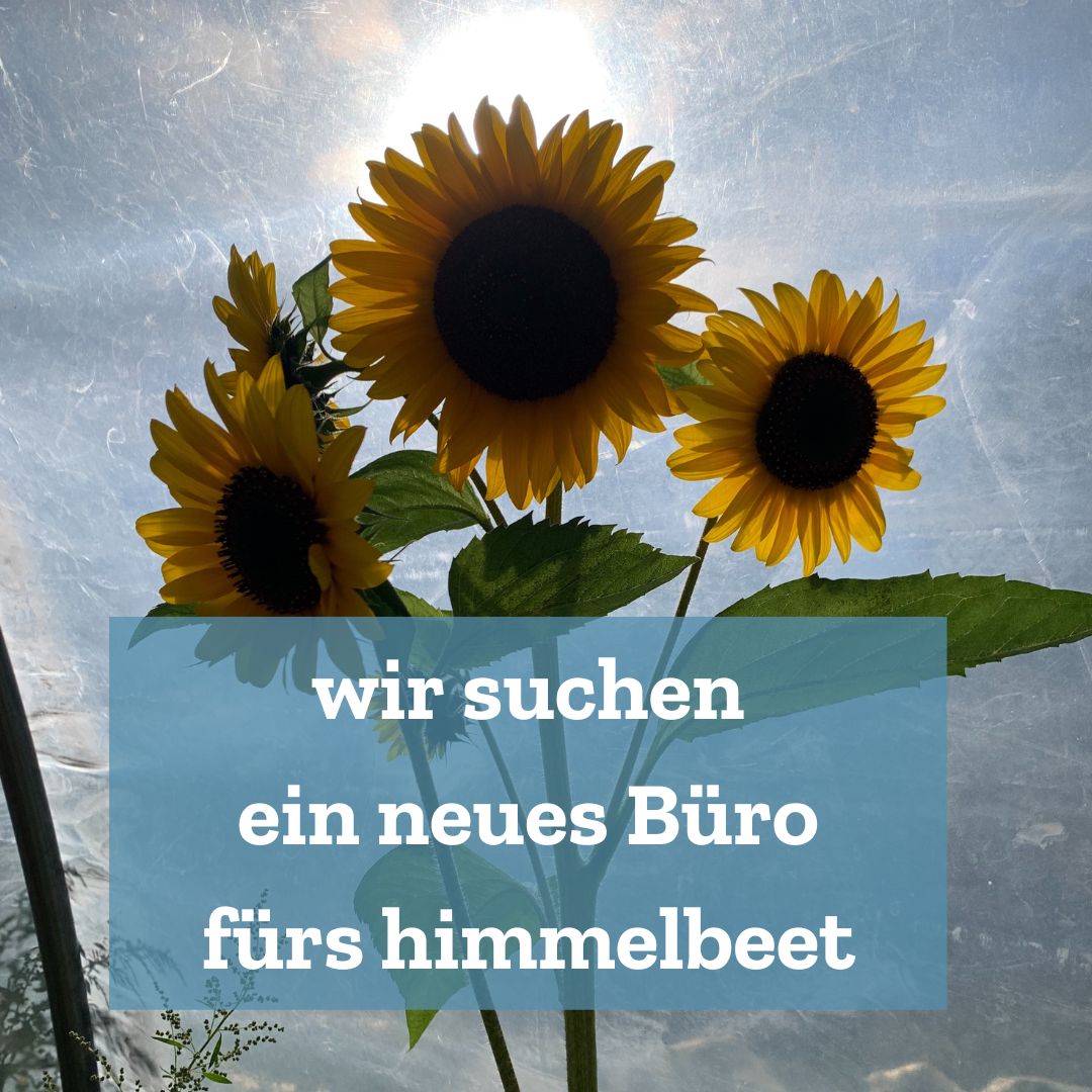 Foto von Sonnenblumen mit Text "Wir suchen ein neues Büro fürs himmelbeet"