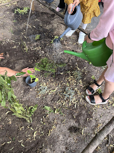 Kinder giessen junge Pflanzen in einer Baumscheibe