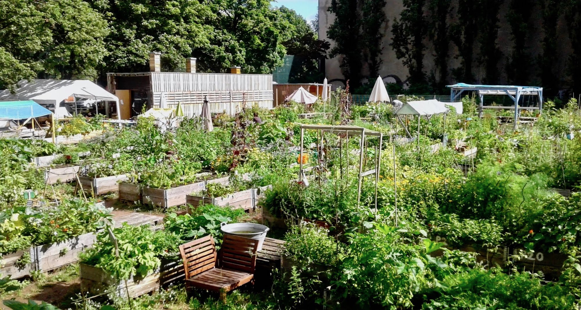 Startseite Himmelbeet Gemeinschaftsgarten